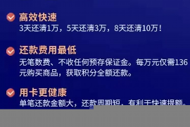 高炮催收怎么应付2020：应对策略与案例分析